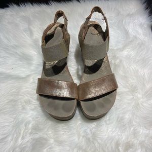 Otbt wedges